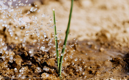 Grow leveraged income and invest in your future